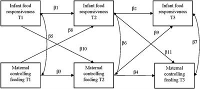 Bidirectional associations between maternal controlling feeding and food responsiveness during infancy